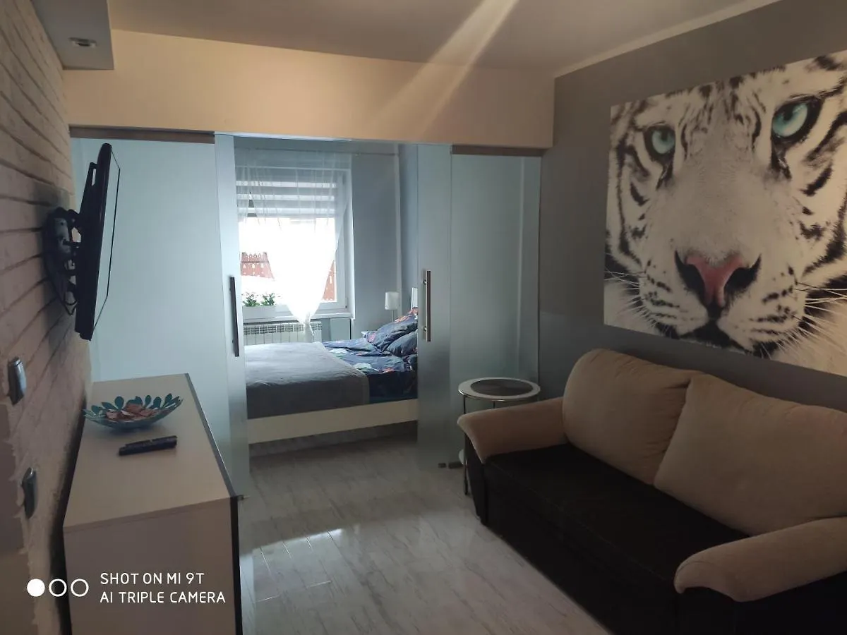 Apartament Tygrys Zakopane